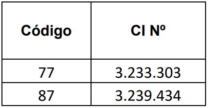 07 analista de datos